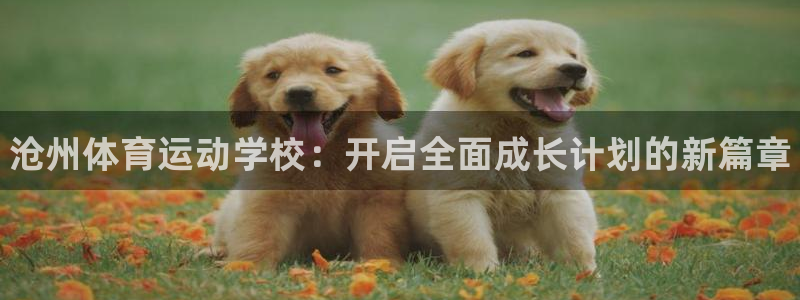 公海赌赌船官方正版app集团:沧州体育运动学校:开启全面成长