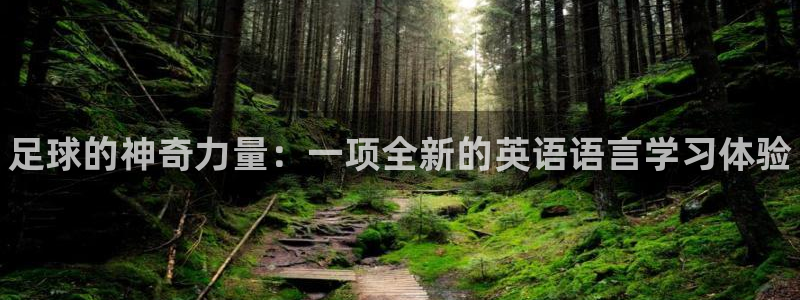 公海赌赌船官方平台体育:足球的神奇力量:一项全新的英语语言学