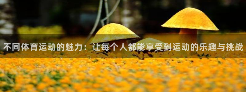 注册公海赌赌船官方正版app:不同体育运动的魅力:让每个人都