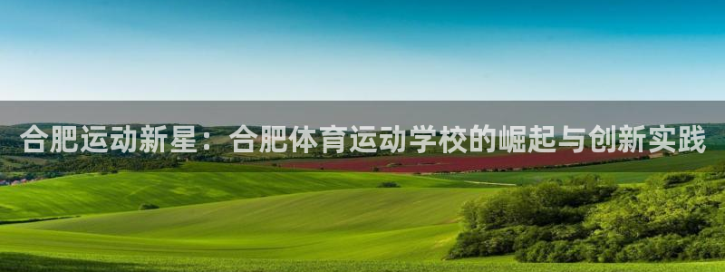 公海赌赌船官网下载平台注册:合肥运动新星:合肥体育运动学校的