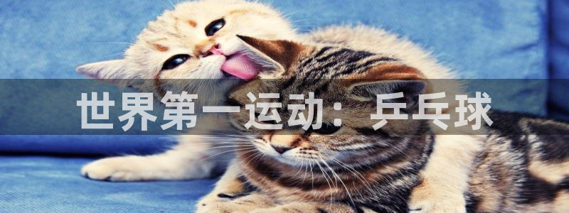 公海赌赌船官网下载注册:世界第一运动:乒乓球